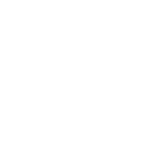 praktis-s